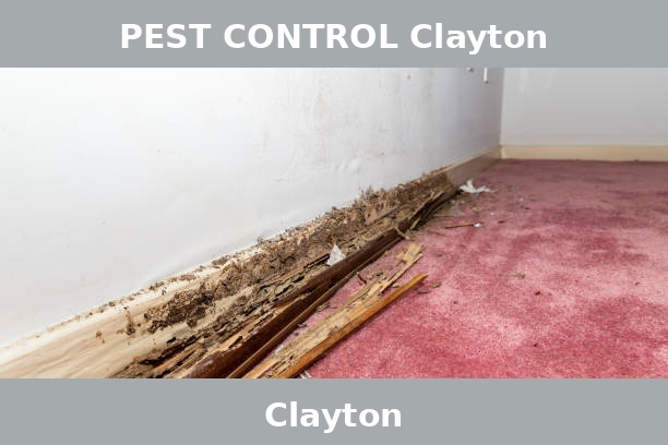 PEST CONTROL Clayton